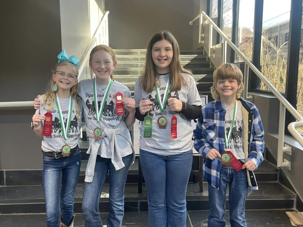 4-Hers with ribbons